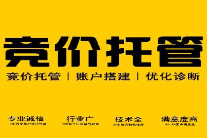 搜索引擎营销新纪元：SEM开户案例集锦